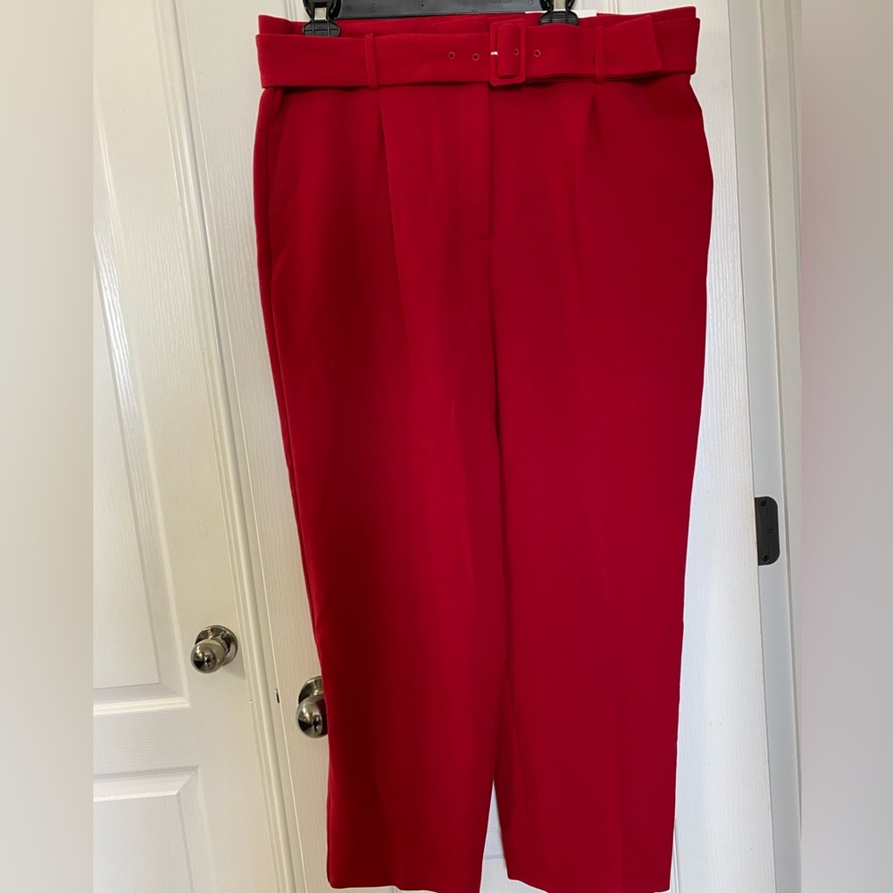 RED Ann Taylor Trousers